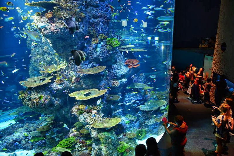 Singapore, Marine Life Park